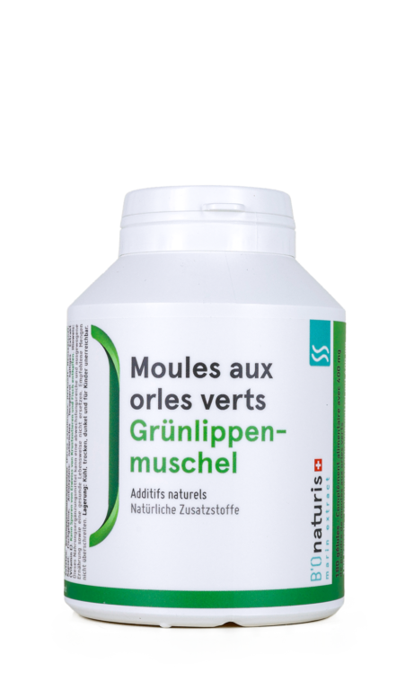 Grünlippmuschel