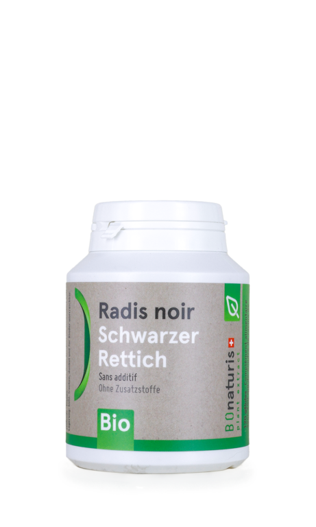 Schwarzer Rettich Bio