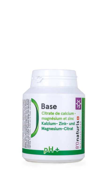 Base