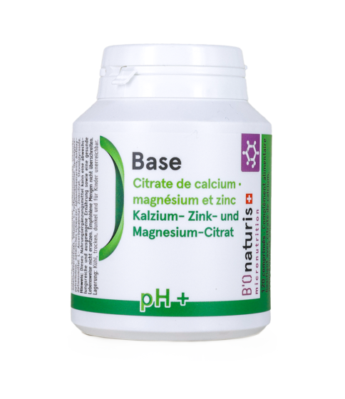 Base