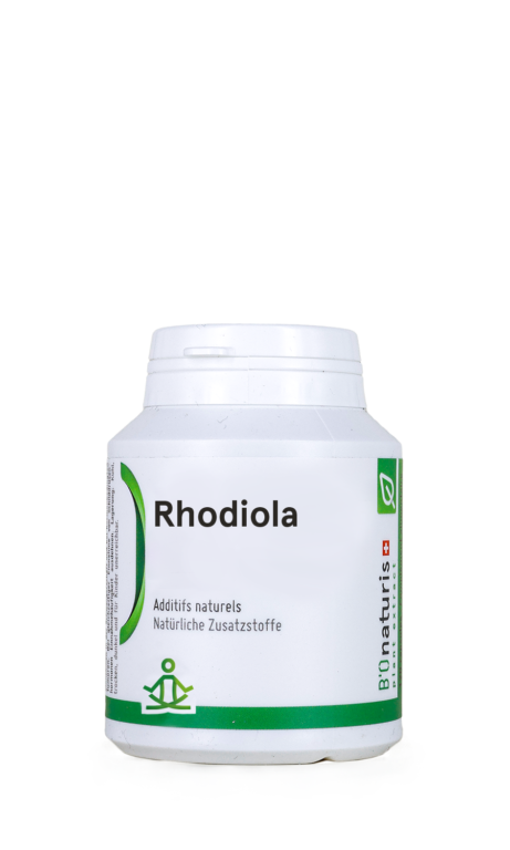 Rhodiola